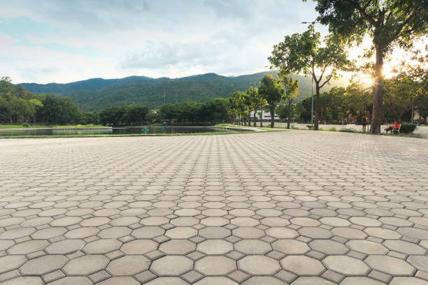Professional Driveway Pavers in Cedartown, GA